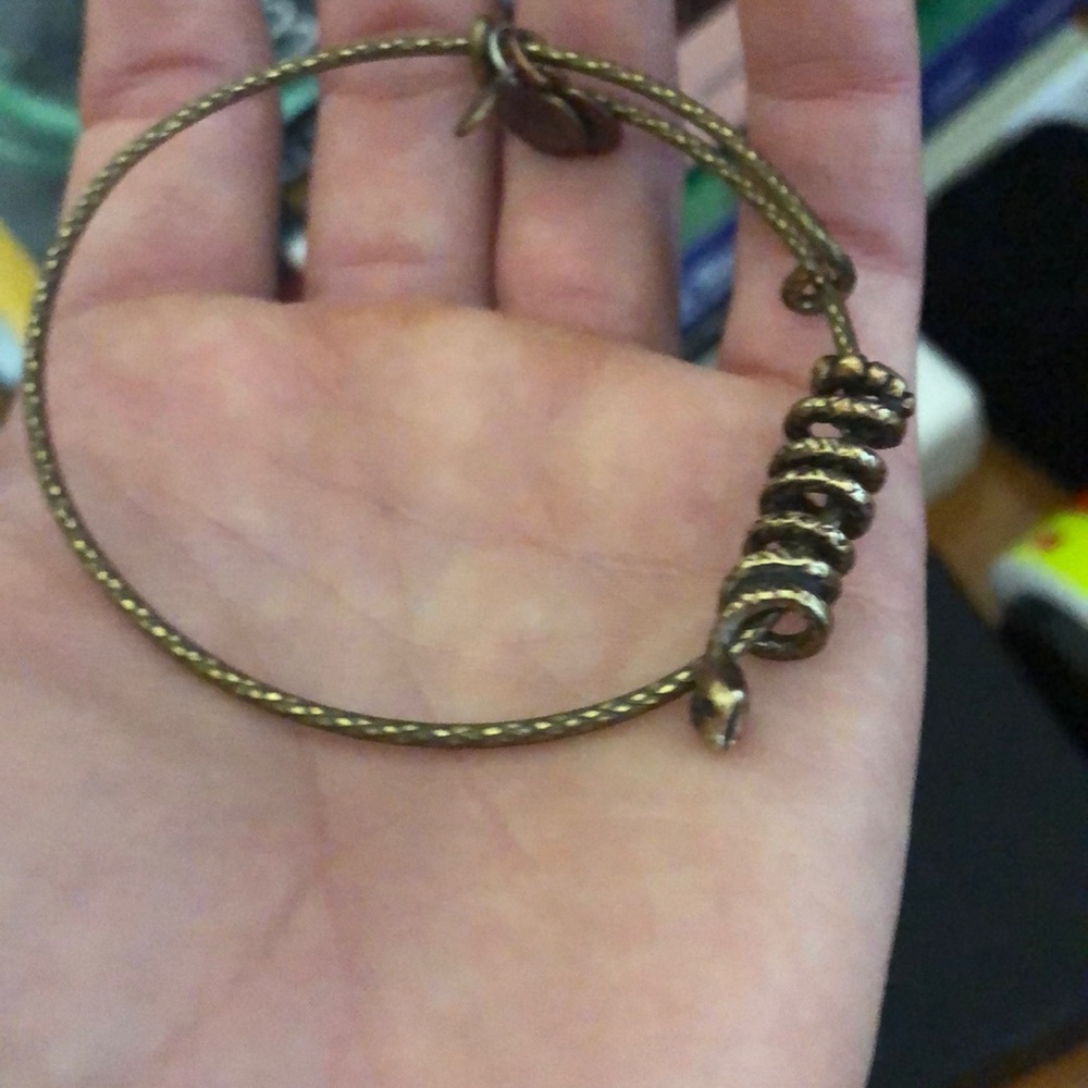 Alex and ani snake bracelet